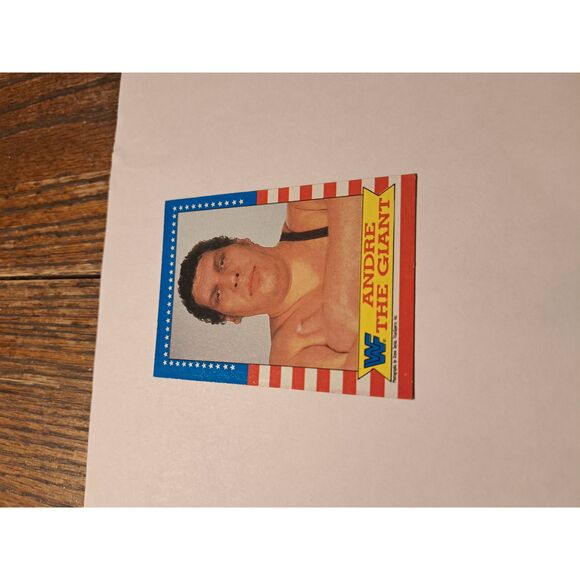 Vintage 1987 WWF Andre the Giant Wrestling Trading Card Titan Sports Raw - Picture 1 of 2